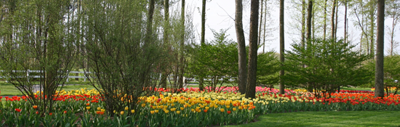 Eco-Friendly Delaware Composting Facility